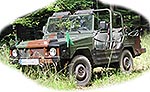 0,5t Light truck 4x4 Iltis