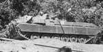 BMP-2D