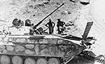 BMP-2D
