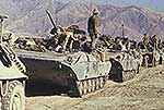 BMP-2D