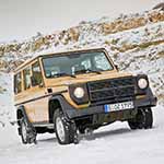 All Wheel Drive LKW 0,5t gl typ461