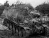 Munitions Schlepper auf  Wespe