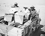 37mm Polish AT Gun wz.36
