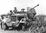 3,7cm Flak 36 auf Fahrgestell mZgKw 5t Sd.Kfz.6/2
