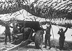 Cannone da105/28 Ruote Electron