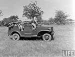 1/2 ton 4x4 Command Reconnaisanse WC-6/15/23 